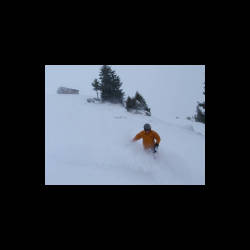 arlberg